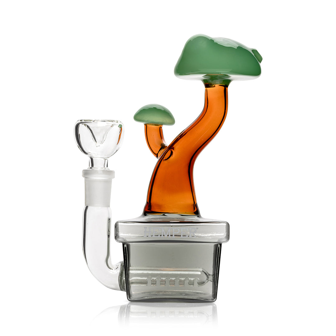 Hemper Glass Bonsai Tree Bong