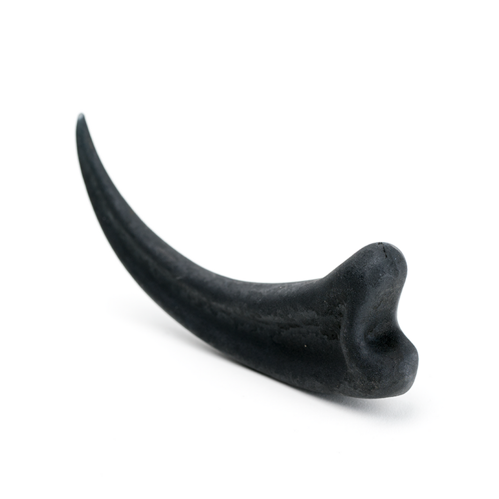 Empire Glassworks Raptor Talon Dabber